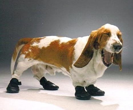 Amazon Walkabout ナックリング防止用 ウォーカーブーツ Xl 大型犬用 足を引きずる うまく歩けない愛犬に 足の甲保護 足保護ブーツ ペット介護 伸縮性 防水性 Walkabout ブーツ プロテクター 通販