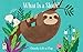 What is a Sloth? (Chunky Lift-a-Flap Board Book)