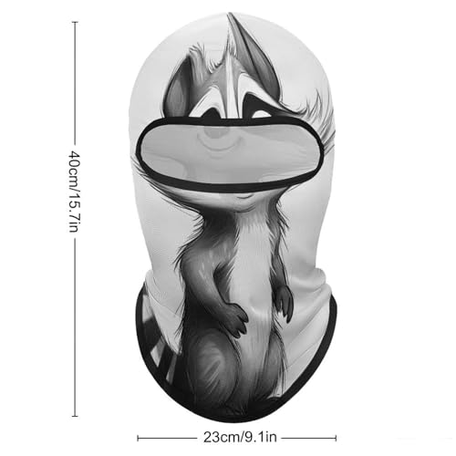 Balaclava Mask for Men Ski Mask for Women Raccoon Painting Full Face Mask Face Cover for Cycling, 1, Style miniatura 2
