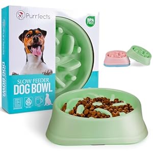 Purrfects – Slow Feeder Dog Bowl (Mint Green) – Anti Choke, Anti Bloat – Slow feeder dog bowl slow feeder dog feeders to slow feeding dog bowls