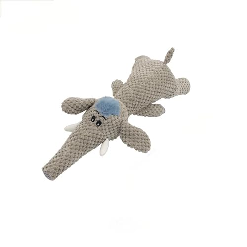 �ʂ�����݂̒��̂�������A�X�N�C�[�J�[�t���A���^�A12.6 x 8.7 x 2.5�C���`�A���^���ƔL�p�̃C���^���N�e�B�u�Ȏ����y�b�g��������i���g���O���[���E���t�j