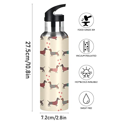 xigua Water Bottle with Straw Lid Leakproof Vacuum Insulated Stainless Steel Dachshund Dogs Pattern Sport Water Bottles 20 oz - Image 2