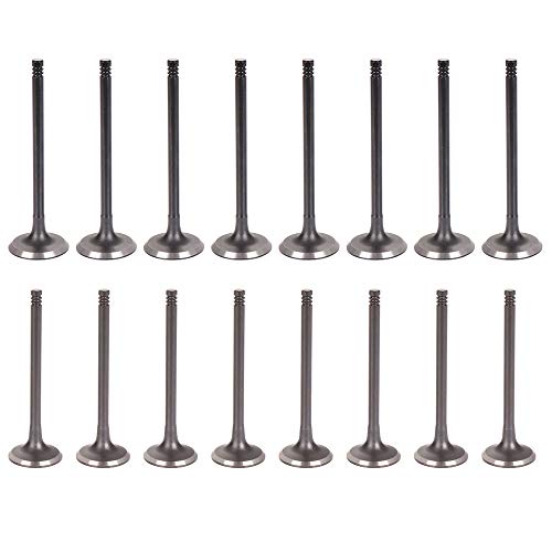 ECCPP Intake Ex Engine Valves Kit 16pcs for Daewoo Leganza Nubira for Isuzu Amigo Rodeo Rodeo Sport for Suzuki Forenza Reno 2.0L/2.2L 021-3549 211-4097 ECCPP Intake Ex Engine Valves Kit 16pcs for Daewoo Leganza Nubira for Isuzu Amigo Rodeo Rodeo Sport for Suzuki Forenza Reno 2.0L/2.2L 021-3549 211-4097