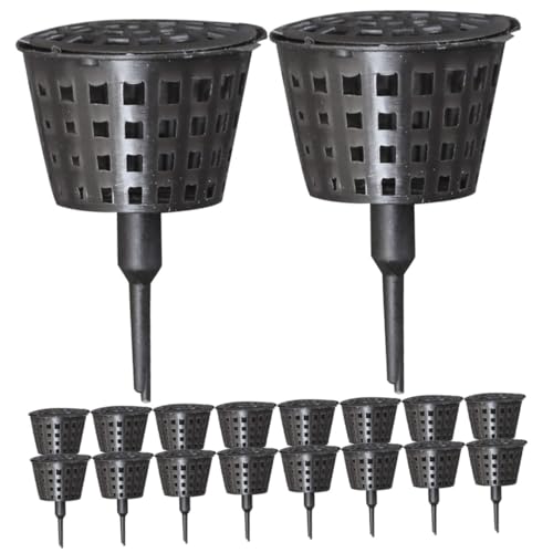 lurrose 30 엿Jo[t vX`bN엿oXPbg ^ ėp\ |p{e Ăh~Ή