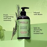 Mielle Organics rosemary mint biotin strengthening shampoo 12 oz, photo 4