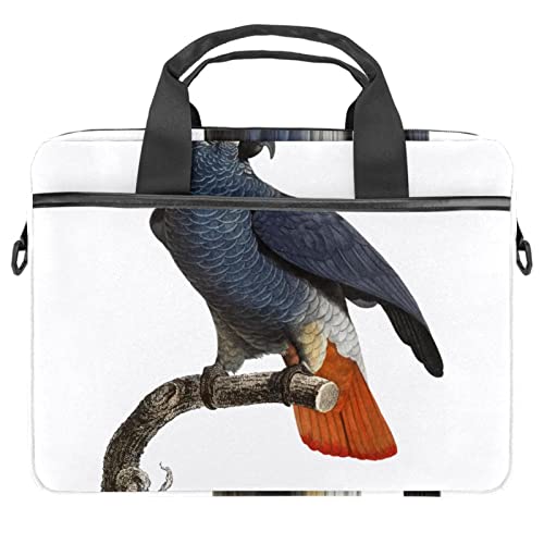 Sacoche ordinateur portable 13 pouces à motif oiseau pour protéger votre PC des rayures