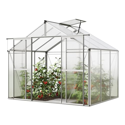 GFP Serre de Jardin Orchidee 3 Structure en Aluminium 256 x 192 cm Panneaux en Polycarbonate