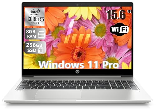 HP ProBook 450 G6 Business Laptop 15.6 pollici (1366 x