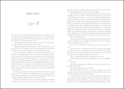Image of Madame Bovary