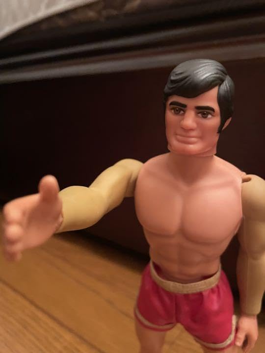 Amazon.co.jp: 当時物マテル ビッグジム 快男児ケン レトロ : おもちゃ 