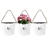 Window Garden Galvanized Flower Buckets - White Galvanized Wall Decor - Metal Indoor and Outdoor Home Decor Accessory - Hanging Metal Planter - Rustic Farmhouse Style - 5.5x6.6x4.3 Inches