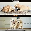 Active Pets Dog Bowl Set