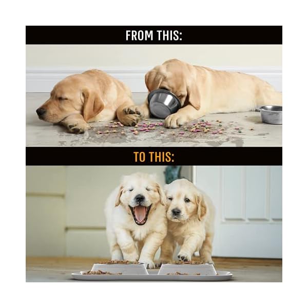 Active Pets Dog Bowl Set