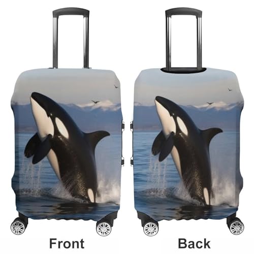 Killer Whale Luggage Cover Tsa Approved Suitcase Covers for Luggage Elastic Washable Suit Case Covers Anti-Scratch Travel Luggages Sleeve Suitcase Protector Fits 19-30 Inch Case(M)3