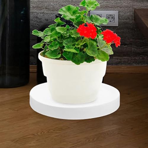 Support plante roulettes 360 degres plastique robuste deplacement facile