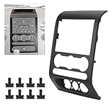 HECASA Dash Radio Bezel Center Trim Panel Compatible with 2004-2008 Ford F-150 F150 Replacement for 4L3Z1504302AAA Center Dashboard Radio Panel Trim Bezel