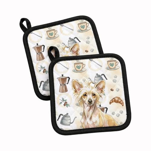 Caroline's Treasures Hairless Palomino Chinese Crested Coffee Bar Pair of Pot Holders Pair 7.5x7.5 Quilted Insulated Hot Pads Decorative Kitchen Gift Made in USA