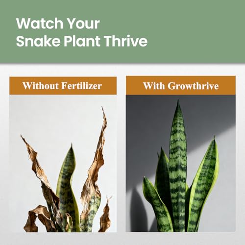 Fertilizante líquido orgánico para plantas de serpiente 300 ml miniatura 6
