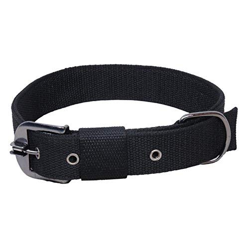 PSK PET MART Poly Collar,Black (38mm) (B08K7JWVZV) Amazon Price History, Amazon Price Tracker