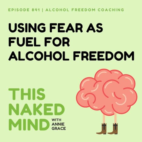 Page de couverture de Using Fear as Fuel For Alcohol Freedom | Alcohol Freedom Coaching | E841