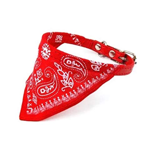 WOO LANDO Collier pour Chien avec Tissu Bandana 6 Couleurs Taille S 26 cm