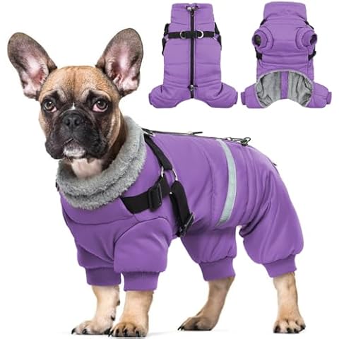 Hjyokuso Waterproof Dog Coat with Harness Cover