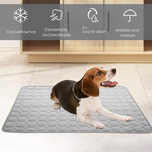 FINELYCR Kühlende Hundedecke, 100 × 70 cm Kühlende Decke Hund, Grau Kühldecke Hund Ohne Gel, Weich und Atmungsaktiv, Langlebig für Katzen und Hunde Im Sommer