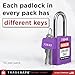 TRADESAFE Lockout Tagout Locks Set - 10 Purple Loto Locks, Lockout Locks Keyed Different, 2 Keys Per Lock, OSHA Compliant Lock Out Tag Out Padlocks, Safety Padlocks for Electrical Lockout Tag Out Kits