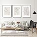 Neutral Botanical Prints Wall Art Flower Minimalist Canvas Wall Decor Vintage Line Wall Art Floral Plant Painting Pictures Beige Boho Artwork Farmhouse Poster for Bedroom 12x16 Inch Unframed Set of 3