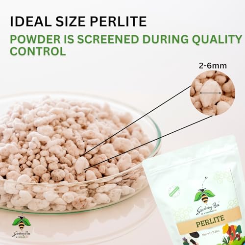 Image of Perlite for Plants (1KG), Hydroponics & Horticulture Terrace Gardening, Essential Soil Conditioner, for Indoor, Outdoor Plants (1 Kilogram)