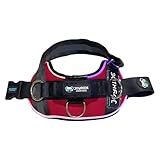 Joyride Harness LED Light Up Dog Harness 2.0 - Patent Pending Design, 3 LED Modes, Vibrant Rechargeable Lighting, Customizable Name Tag Area, and Convenient On/Off Button for Enhanced Pet Safety