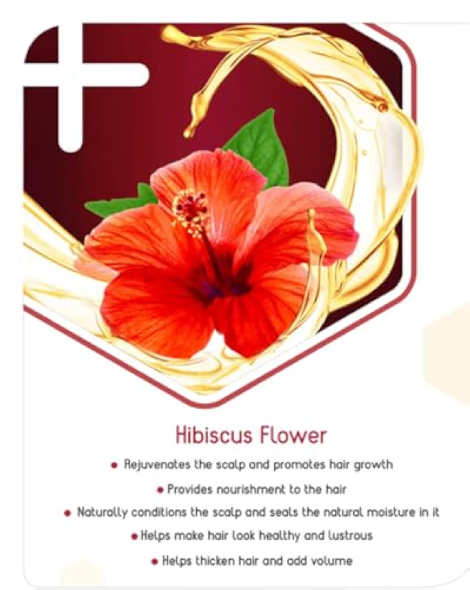 Advanced Infused Hibiscus Hair Oil Pack of 2