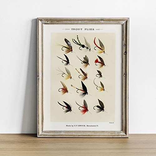 Trout Flies Fish Print, Vintage Fishing Poster Wall Art Decor, Gift For Dad, Man, Fisherman Cabin Gift Cabin Poster | C50 16X20 #TOP2
