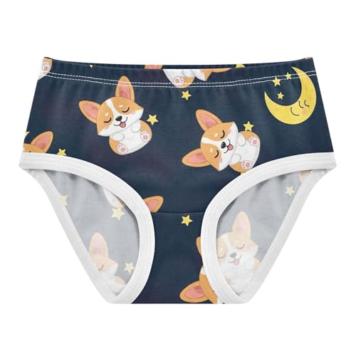 Cute Cartoon Corgi Dogs Starry Panties for Girl Toddlers Underwear Floral Cotton Colorful Kids Undies Briefs 2t