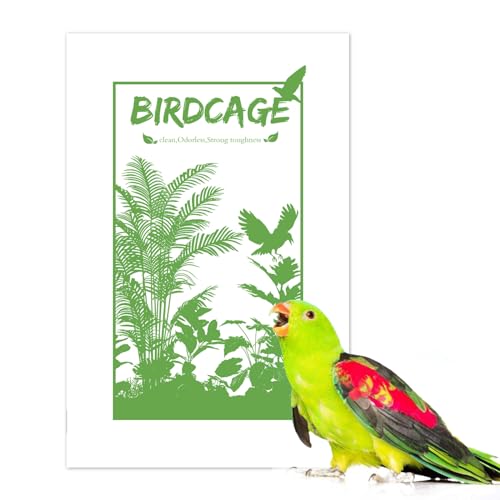100 peças de papel para gaiola de pássaros, tamanho grande, 28 x 43 cm, revestimentos de papel desca