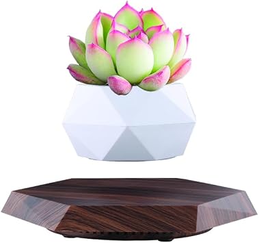 Planting Flower pots,Levitating Plant Pot,Magnetic levitation,Floating Plant Pot,Hanging Flower pots,Suspendded Flowerpot,Hanging planters