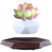 Levitating Plant Pot, Magnetic Levitation Flower Pot Rotating Planters Suspension Floating Plant Succulents Potted for Home Living Room Office Desk Decoration Deep Wood Grain