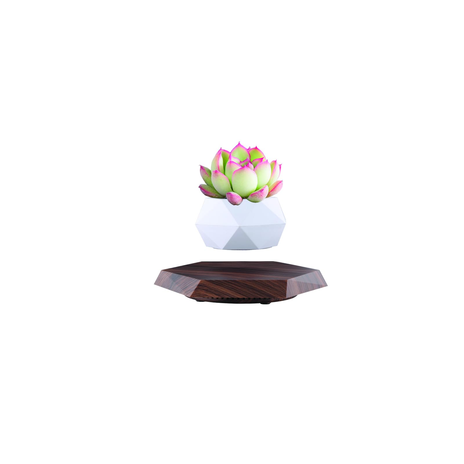 NTPHNB Floating Flower Pot, Magnetic Floating Plant, Floating Plant Pot, Magnetic Levitating Plant Pot ，Modern Hanging Planter, Planter