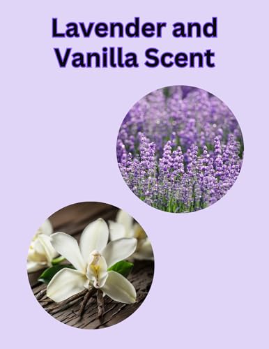 Power Stick Lavender Vanilla Women's Deodorant, Aluminum-Free, 2.5 Oz, 2-Pack image 5