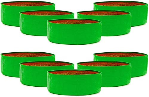 SCOTMEN Terrace Gardening Leafy Vegetable Green Grow Bag 18