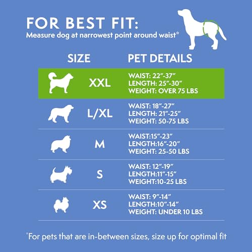 Image of Simple Solution Disposable Female Dog Diapers, Absorbent Leak Proof Protection for Incontinence, Puppy Training, Heat Cycle, Travel, and Housebreaking, XXL Dogs, 22-37 Inch Waist, 12 Count