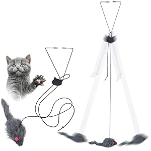 Qpets® Hanging Interactive Cat Teaser Toys,Elastic Rope Design,Hanging Interactive Cat Soft Toy for Indoor Activities,Interactive Cat Teaser Toy with Plushed Mice Pendent Cat Supplies