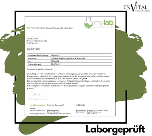 Liquid Chlorophyll aus Alfalfa - hochdosiert & ohne Konservierungsstoffe - 200 mg natürliches Chlorophyll pro Tagesdosis- 100% vegan & in Deutschland hergestellt - 50 ml Chlorophyll Tropfen