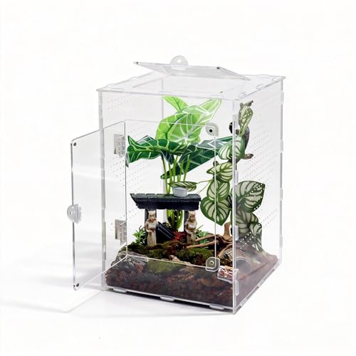 MaryCarrie Large Jumping Spider Enclosure, Acrylic Ventilated Terrarium with Magnetic Front and Top Doors, 8.5x8.5x12 Inch, Transparent, Lockable (Large Size)