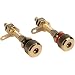 Dayton Audio BPA-38G HD Binding Post Banana Jack Pair Gold