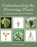Understanding the Flowering Plants: A Practical Guide for Botanical Illustrators