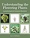 Understanding the Flowering Plants: A Practical Guide for Botanical Illustrators
