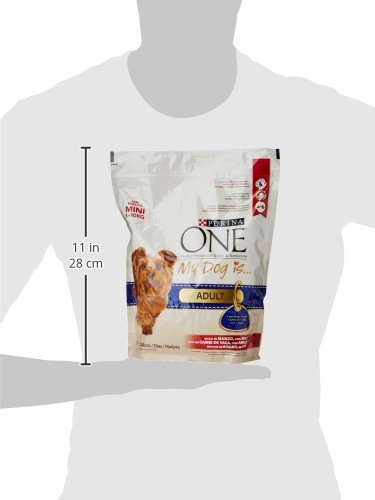 Purina One Mini