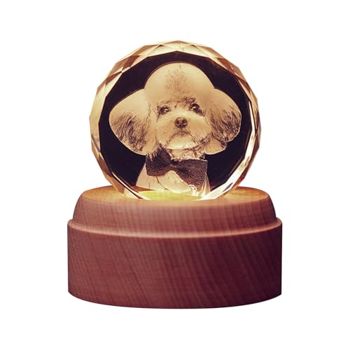 犬 オルゴール」の人気商品一覧 | 安い商品を通販サイトから探す