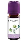 Baldini Vital Bio-Raumduft, 10 ml, 1er Pack (1 x 10 ml)